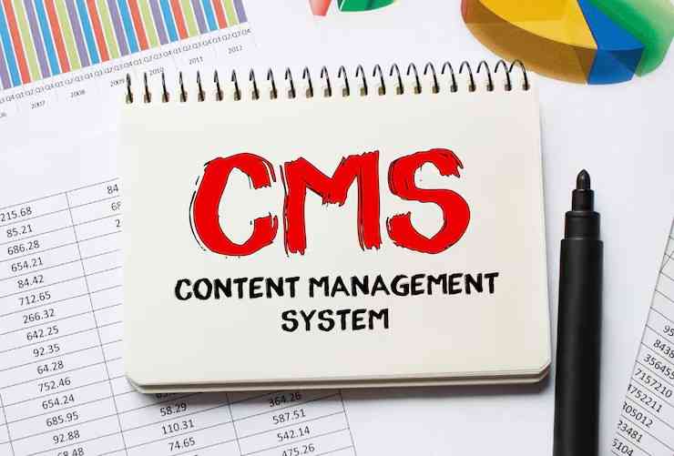 CMS Development
